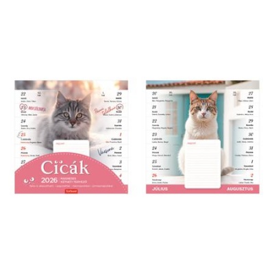 Naptár, fali, mágneses, kétheti, TOPTIMER, cicák