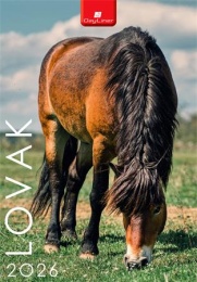 Naptár, fali, DAYLINER, "Lovak"